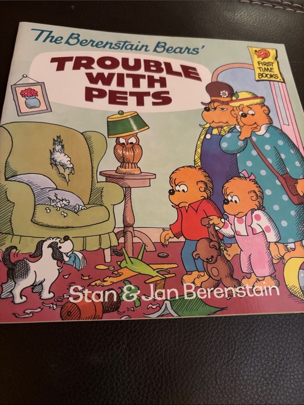 The Berenstain Bears - trouble with pets